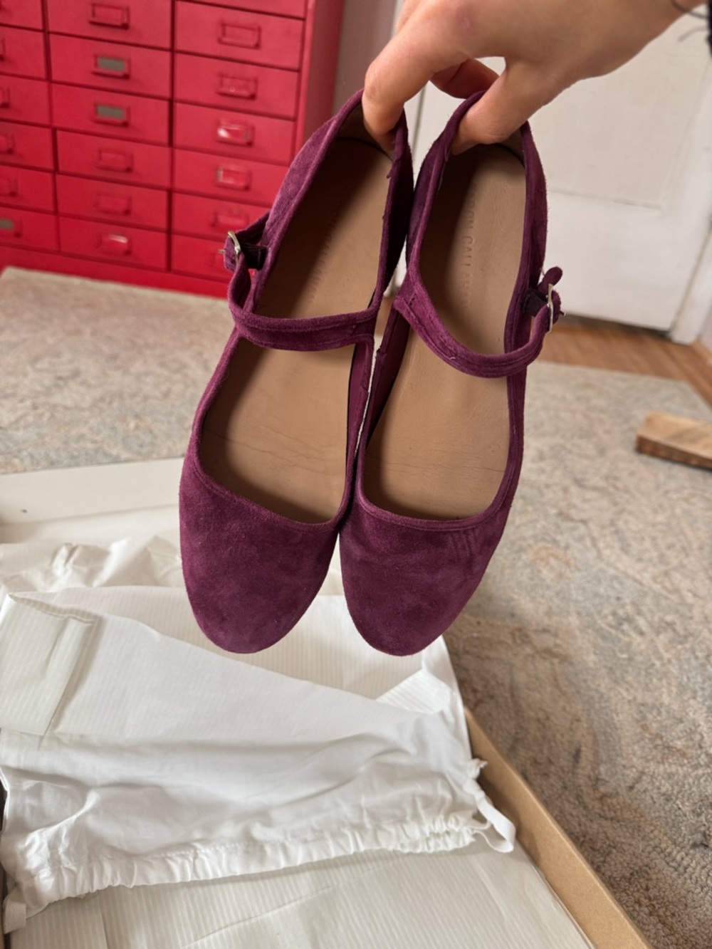 Caron Callahan Women’s Mary Jane Suede Ballet Flats in Mulberry